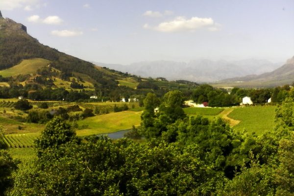 Stellenbosch Winery outside of Cape Town, South Africa