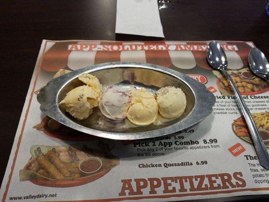 Fleet of Flavors sampler of four different ice creams.