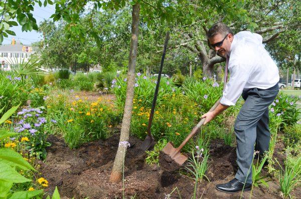 We are so thankful for the Charleston Rotary Club for supporting Charleston parks with the planting of six new black tupelo trees.