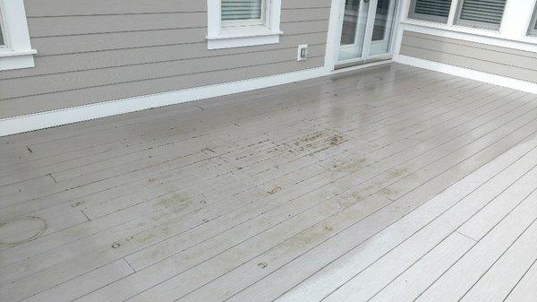 Algae on composite deck