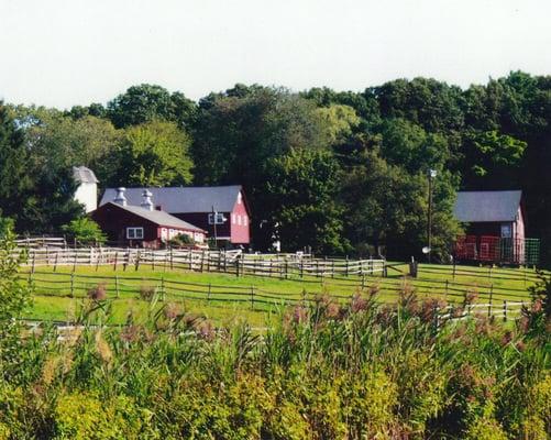 Course Brook Farm