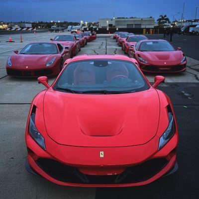 20 Red Ferraris for music video.