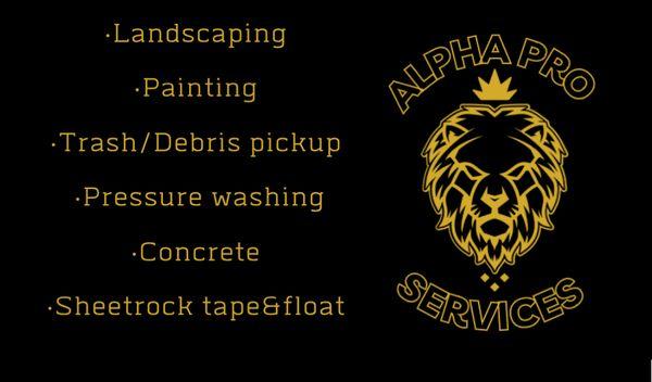 Alpha Pro Services