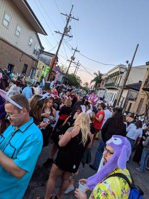 NOLA Bunarchy Crawl