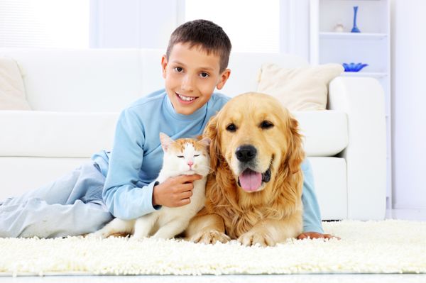 We love our pets, but they can do a number on our house. Pet odor is one of the most difficult odors to get out...