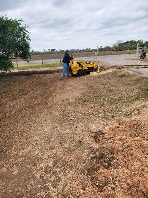 Sandoval Tree Trimming Services