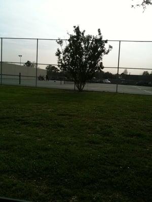 Tennis courts