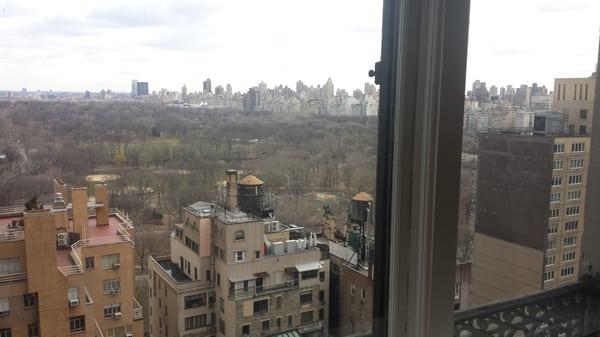 The view - 18th floor - Central Park