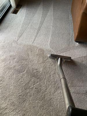 Carpet cleaning before and after