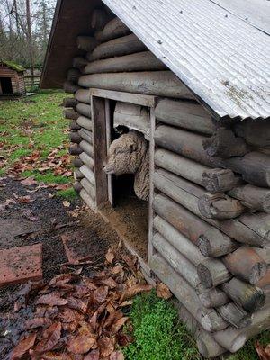 Redmond Petting Farm