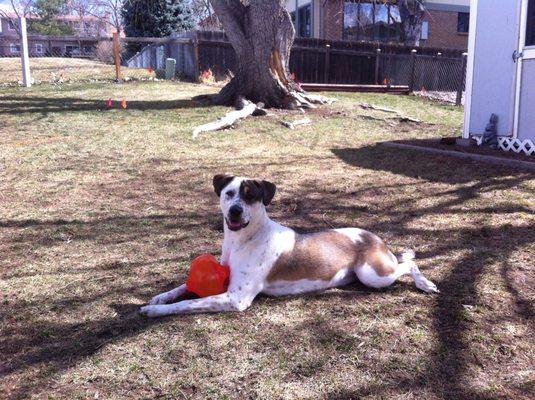 Maybe playing with her ball