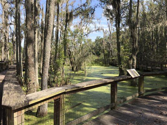 View from the boardwalk.