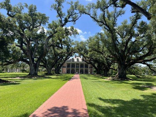 Oak Alley