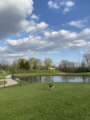 New Albany Dog Park