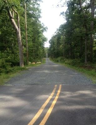 Road entering the park.