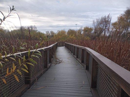 Campus walking trails