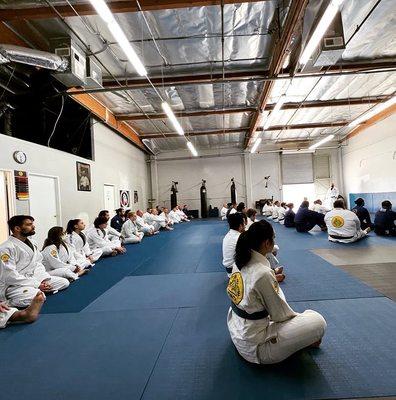 Gracie Jiu Jitsu Valencia