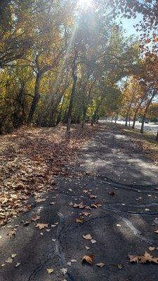 First mile of trail starting from north end