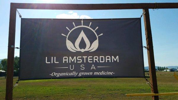 Lil Amsterdam USA logo