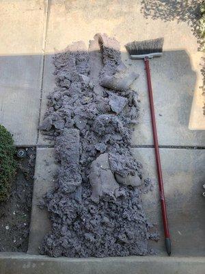 This large amount of lint came out of one residential dryer vent. Call Now and Get $20 Off