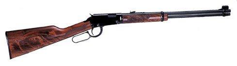 Henry 22 Magnum