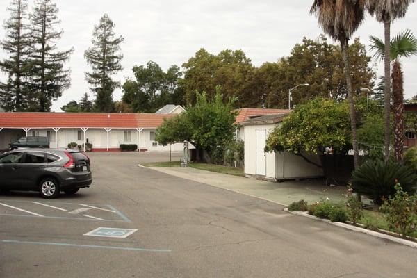 Picture of some of the rooms, and fruit trees next to the parking lot.