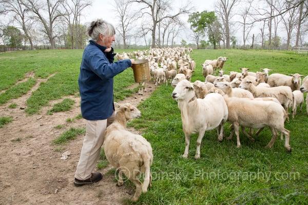 Farm Tours