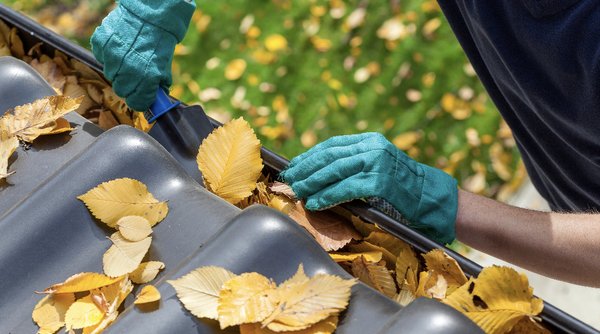 gutter cleaning