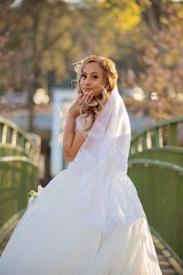 Dress and Veil