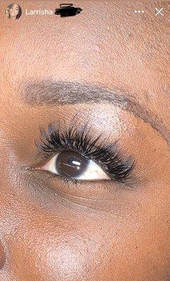 Eye lashes, hybrid lashes, brow tint