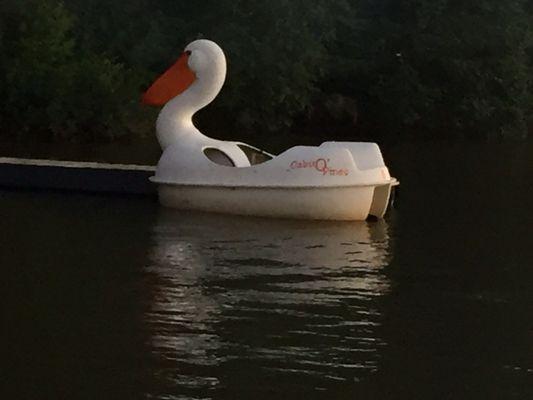 Pelican Lake paddle