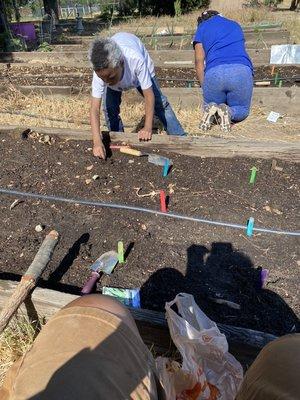 Youth training how to plant seeds