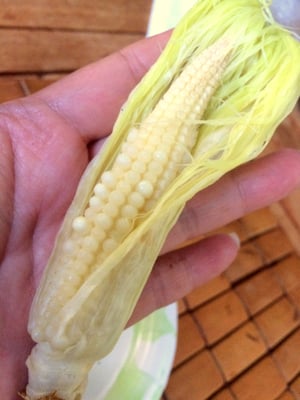 Baby corn