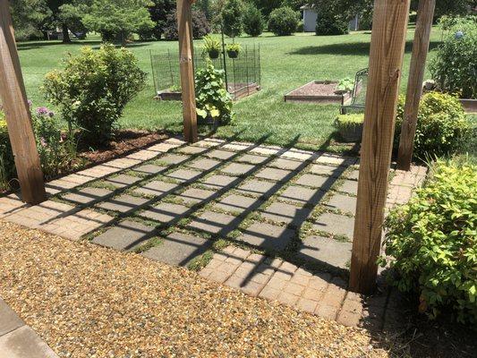 MLP repaired, pressure washed and treated the pergola, then planted pink chintz thyme between the pavers. replaced red clay with pea gravel