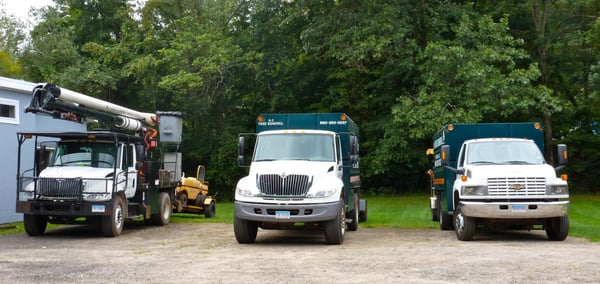 Whether you need a 65 foot bucket truck, a crane or a professional climber, A-1 Tree Service can get the job done!