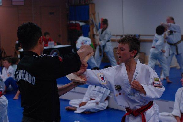 Black Belt Testing Process