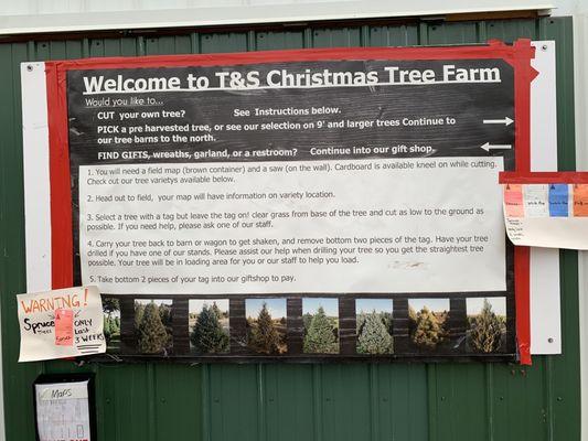 T & S Nursery-Christmas Tree Farm