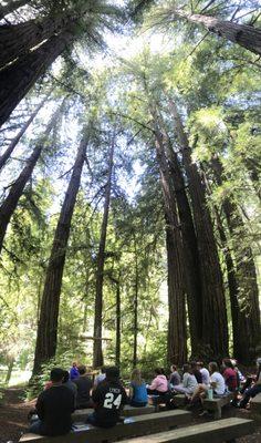 Outdoor Chapel, a great outdoor meeting space in a beautiful fairy ring of Redwoods.