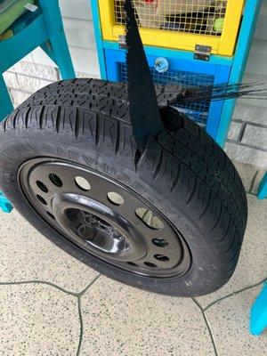 Tire Kingdom