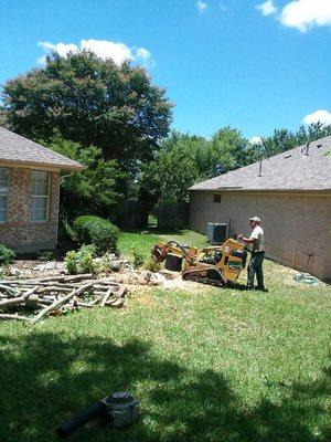 Stump Grinding