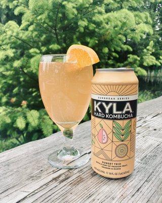 NEW! We now carry Hard Kombucha!