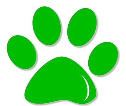 AwesomePaws Pet Sitting Services