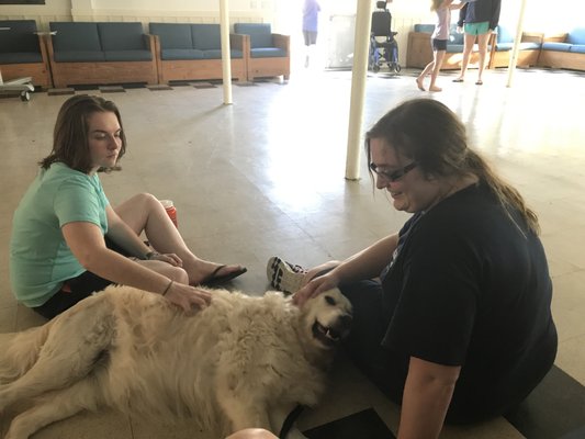 Kasey getting some love post surgery with Columbus Central Veterinary Hospital.