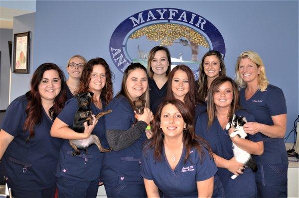 Mayfair Animal Hospital