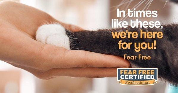 Level 3 Fear Free Certified Professional