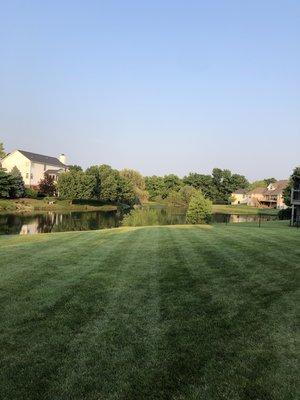 Doing lawn cutting and trimming