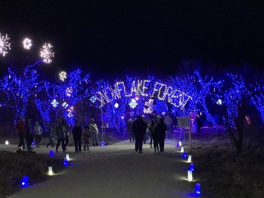 Snowflake forest was gorgeous!