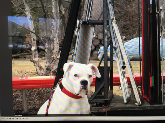 Caddy, on one of her various sets.  Miss you Caddy!