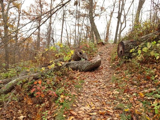 Mary's Rock trail