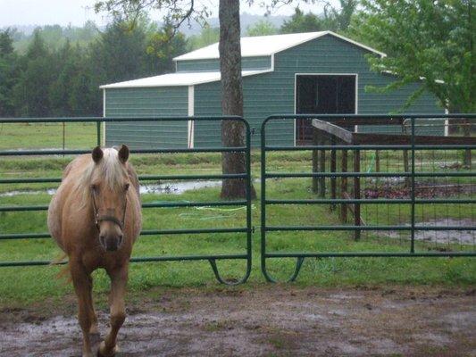 Steel Metal Horse Barn